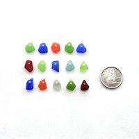 drilled beach charms